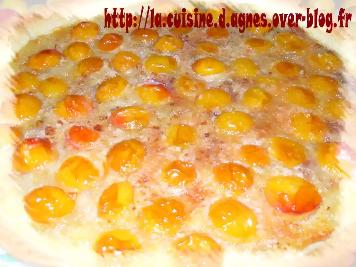 Tarte grand-mère aux mirabelles