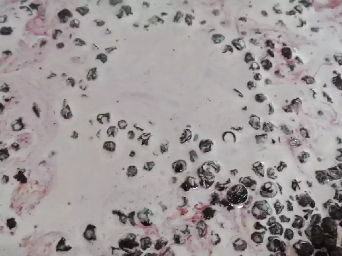 Tarte myrtilles mascarpone