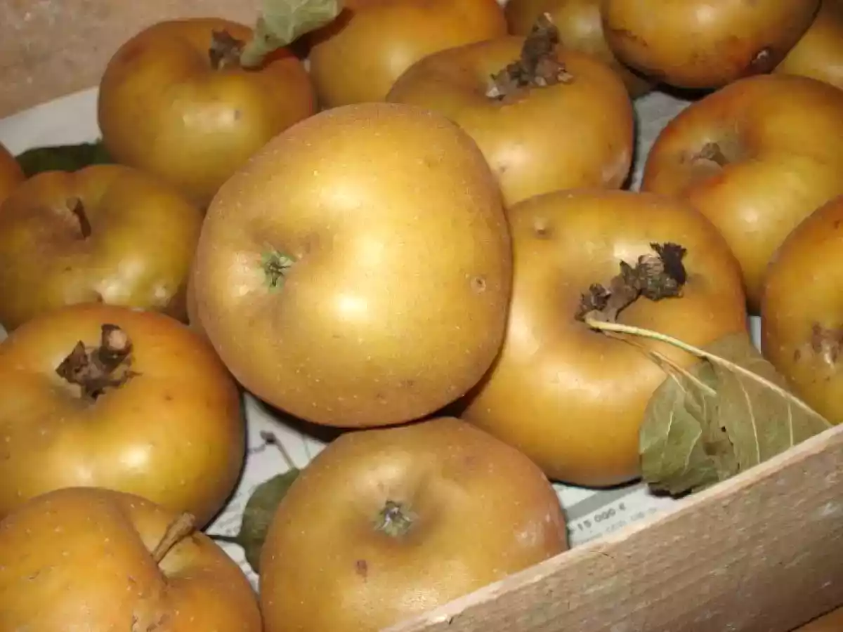 Tarte Tatin express aux pommes ! - photo 4