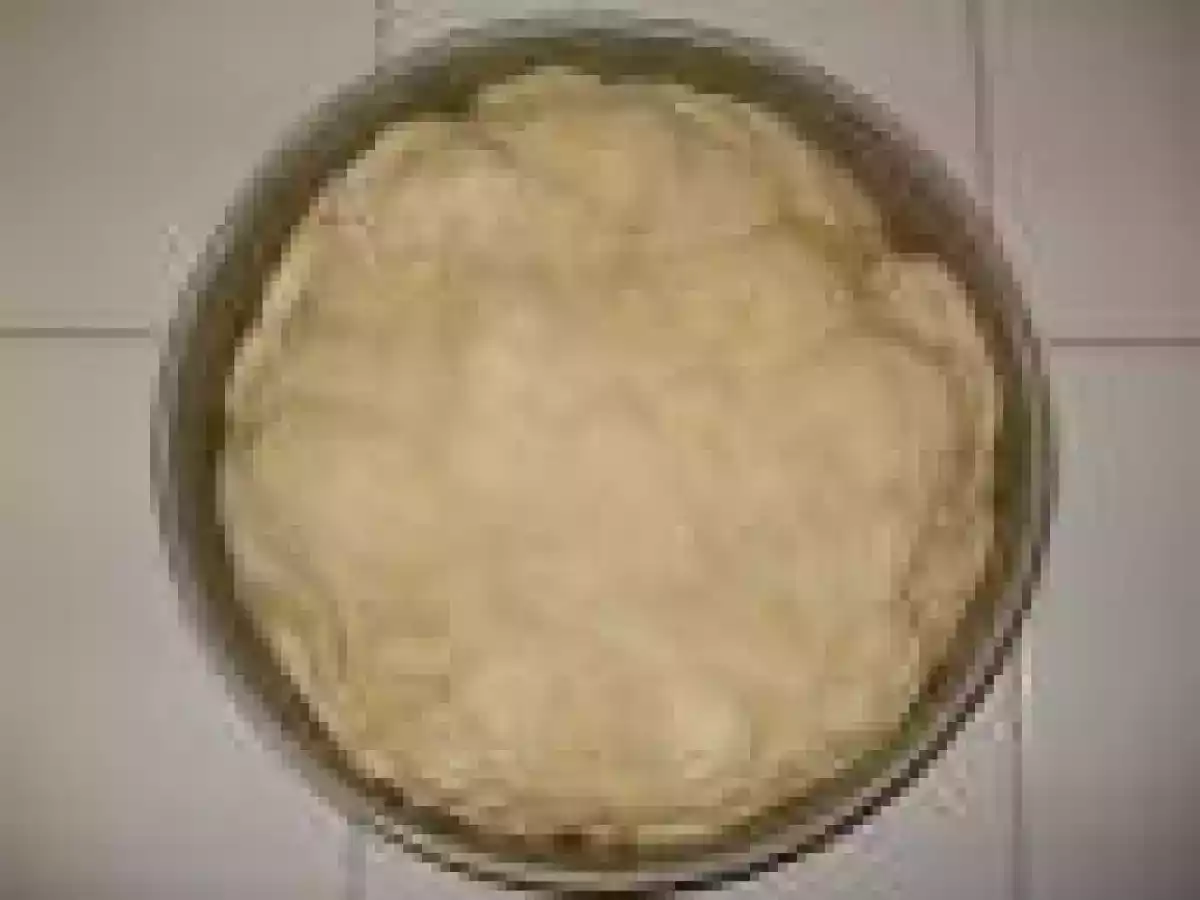 Tarte Tatin express aux pommes ! - photo 5