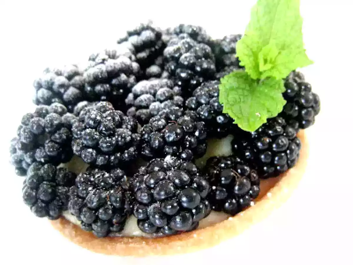 Tartelettes aux Mûres, Fromage Blanc et Mascarpone