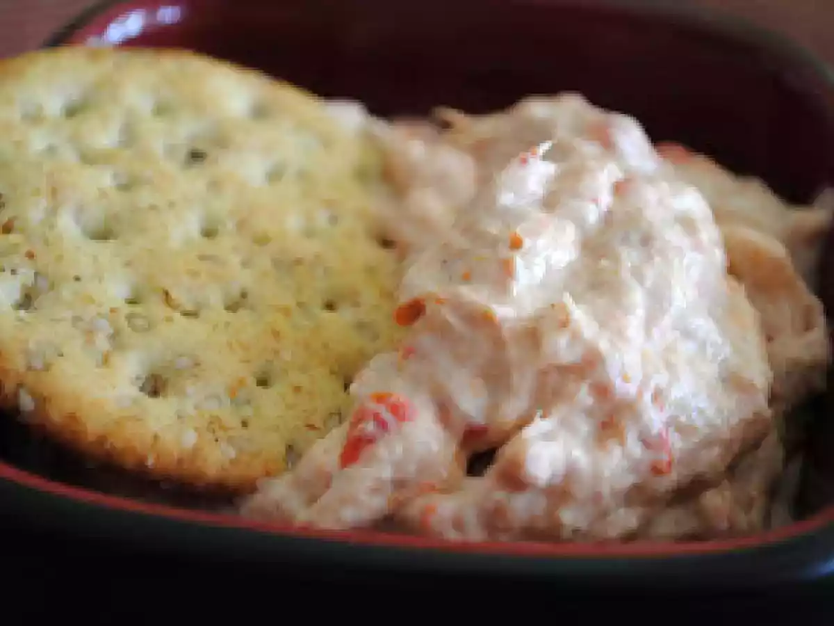 Tartinade au thon (Garniture à sandwich ou trempette) - photo 2