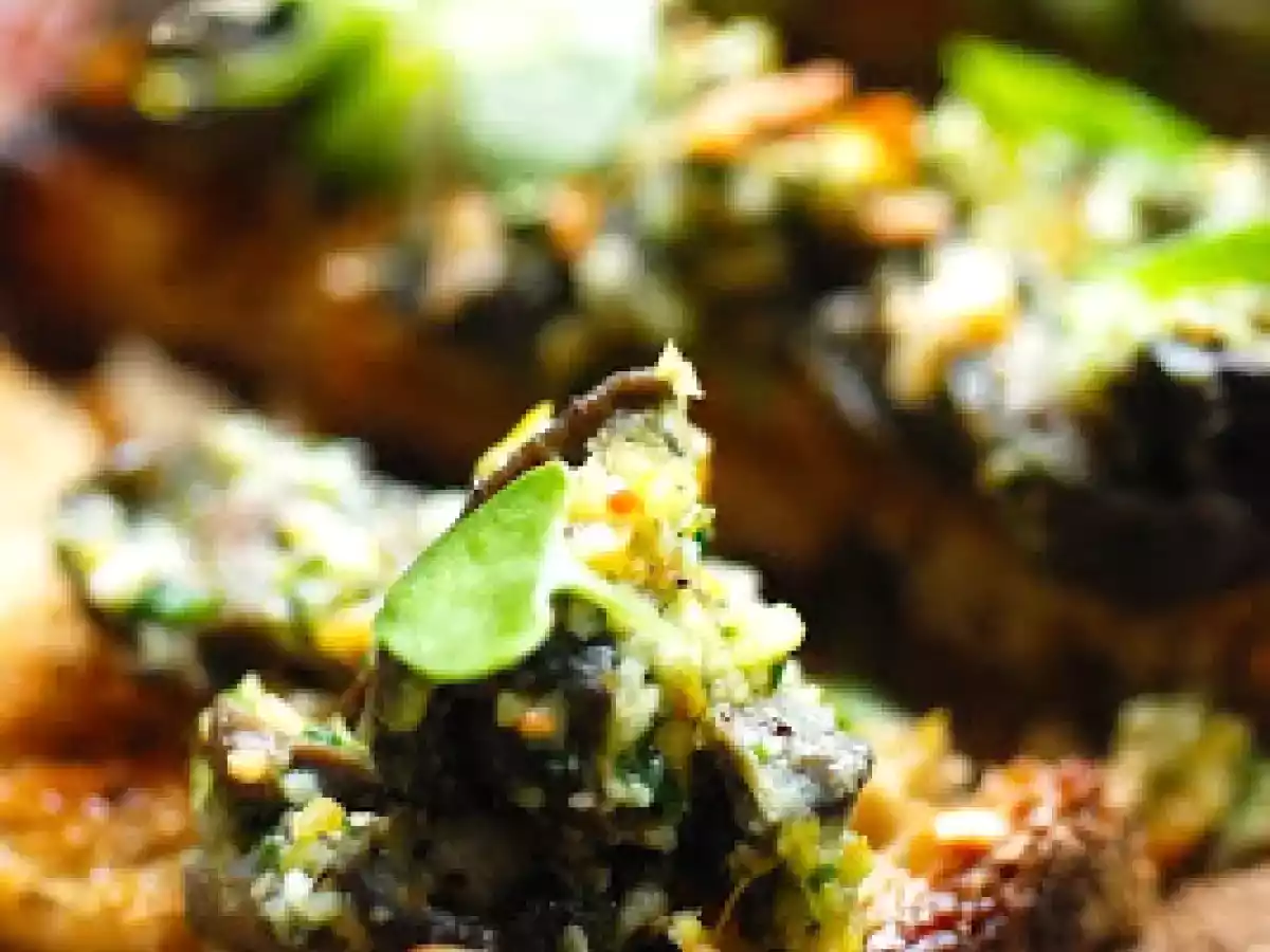 Tartinade d'escargot avec comme un pesto - photo 3