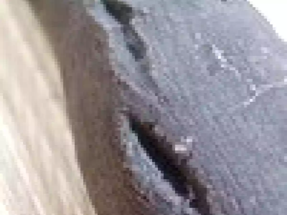 Tartinade de radis noir citron & ricotta - photo 3