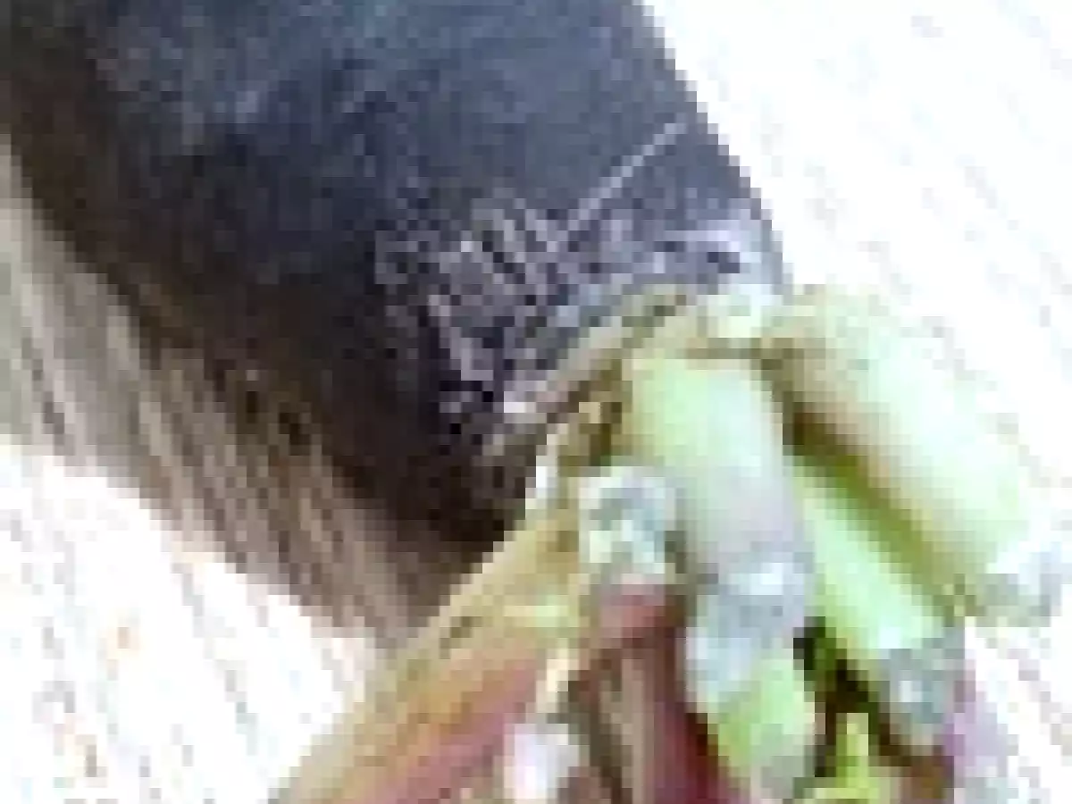 Tartinade de radis noir citron & ricotta - photo 4