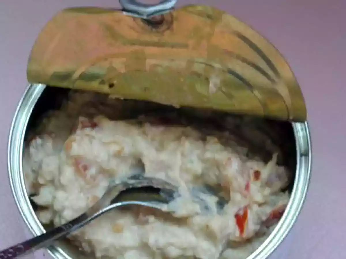 Tartinade de thon au parmesan