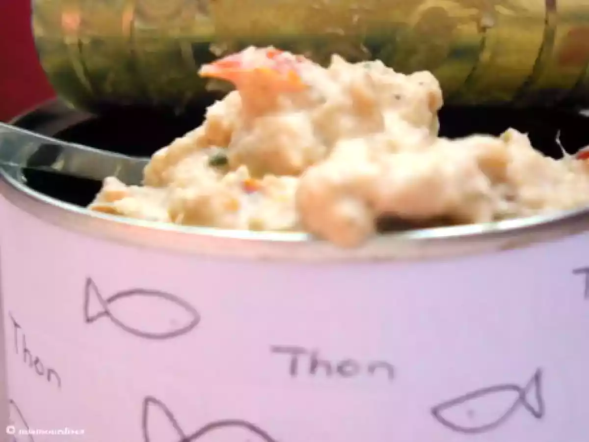 Tartinade de thon au parmesan - photo 2