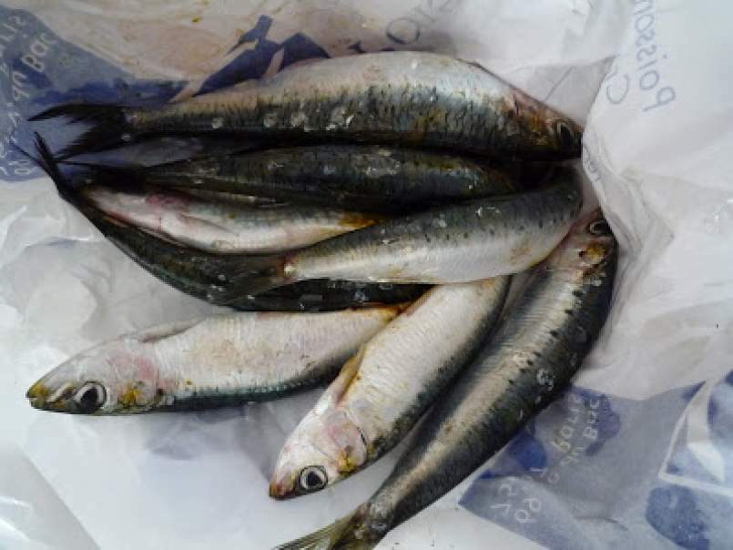 Tartine des sardines Moraga - Sardinenschnittchen Moraga, photo 2