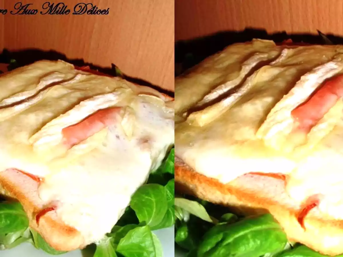 Tartine savoyarde au reblochon - photo 2