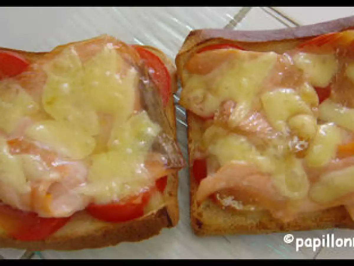 TARTINES AU SAUMON - photo 2