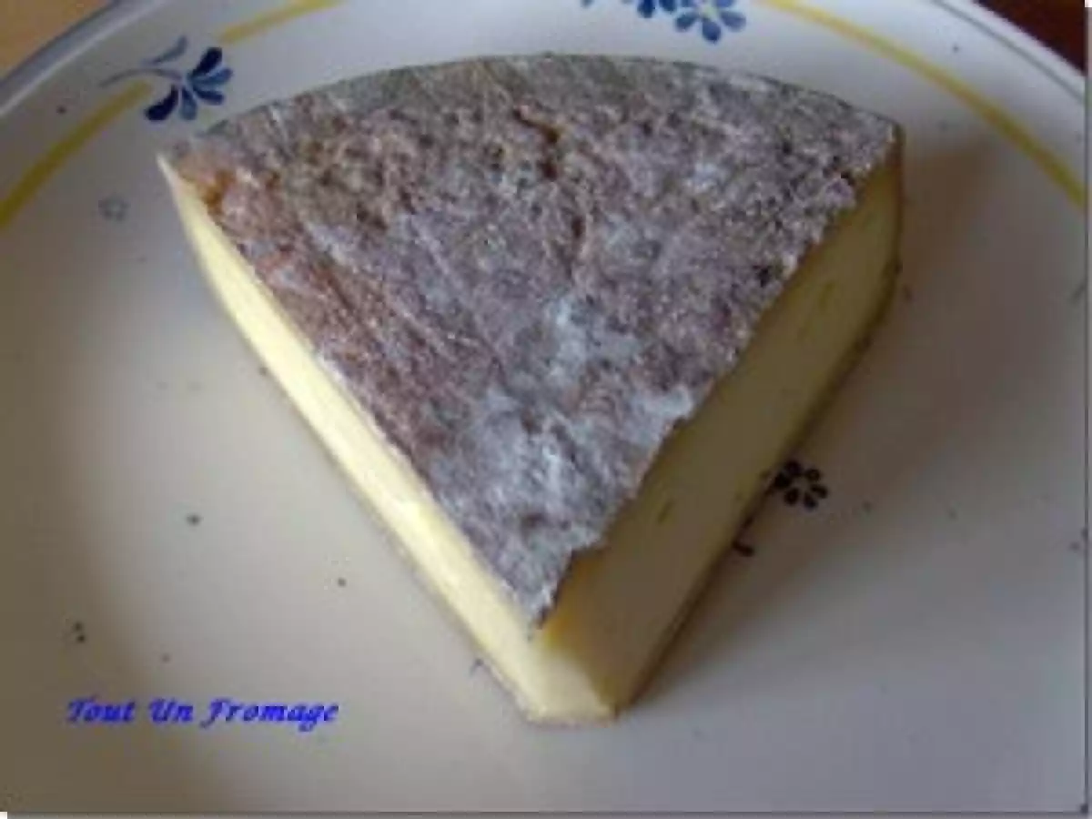 Tartines de Saint Nectaire au Jambon d'Auvergne