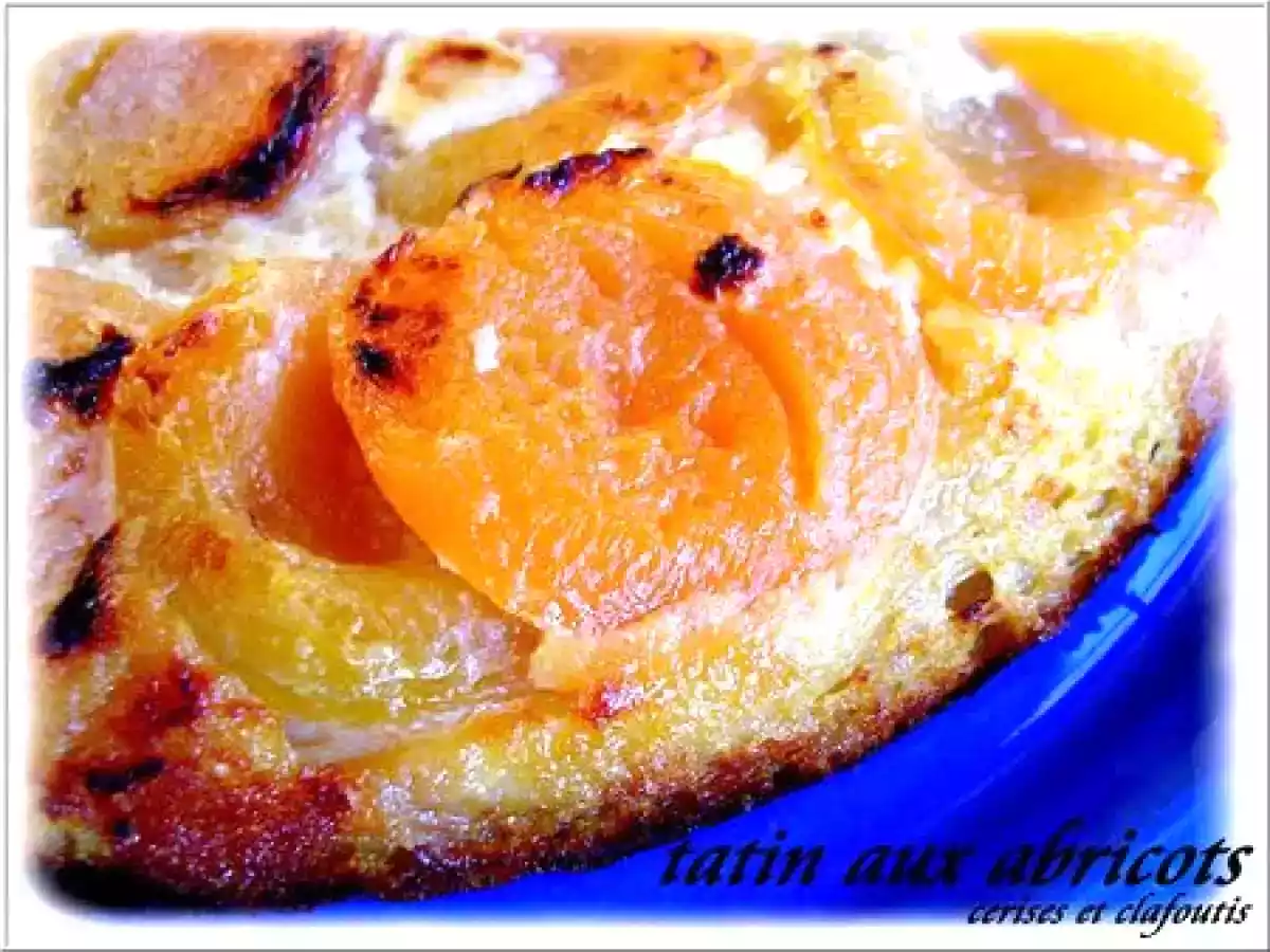 TATIN AUX ABRICOTS ( recette minceur du chef Patrice DEMANGEL ) - photo 3