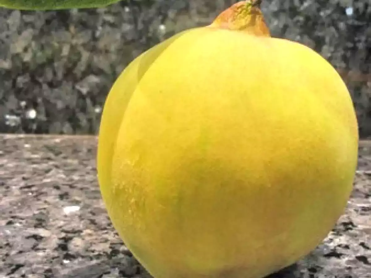 Tatin aux coings selon Régis Marcon pour Lavande de Ligne et Papilles - photo 3