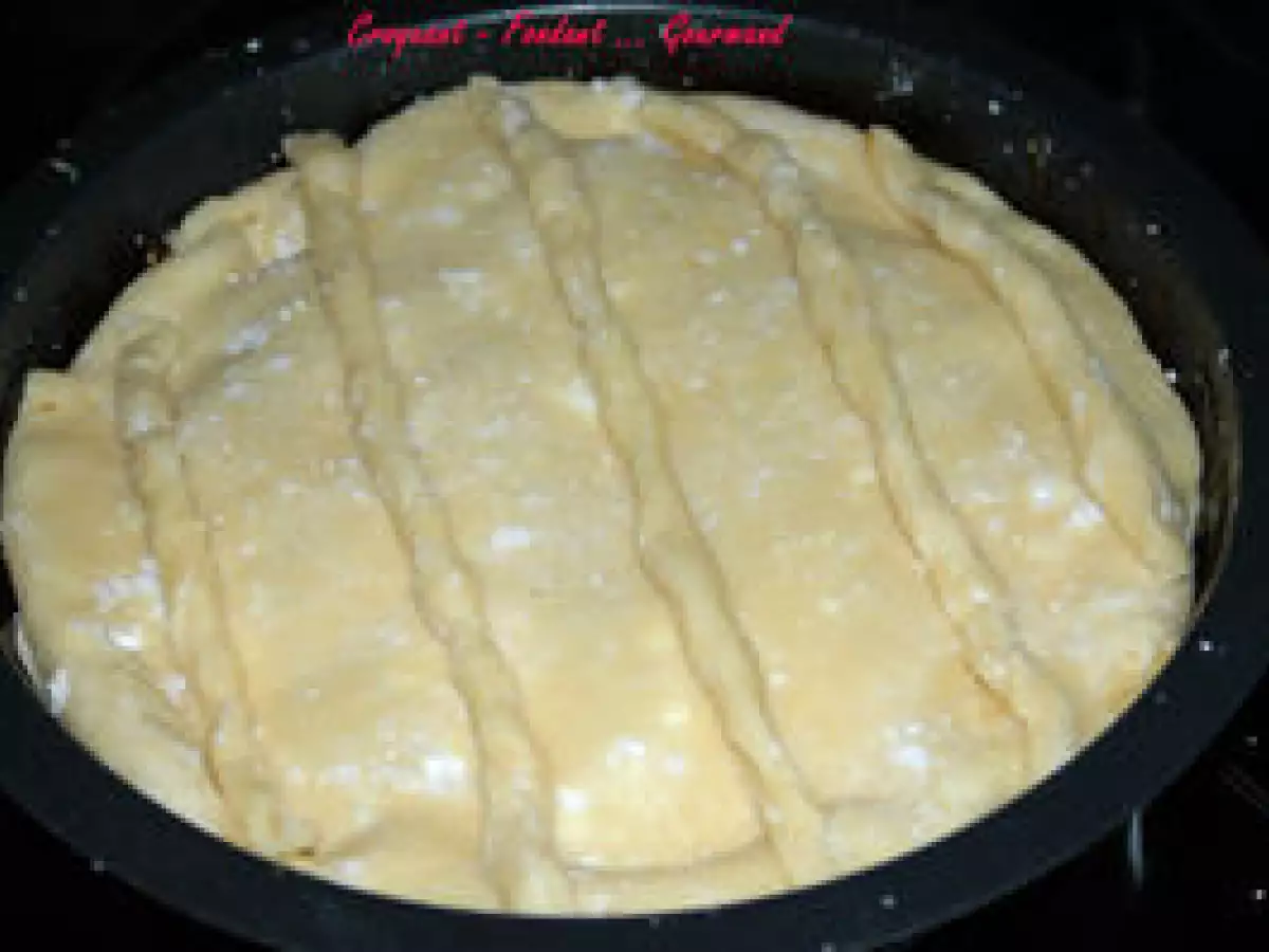 TATIN d'ENDIVES au CHÈVRE et VINAIGRE de XÉRÈS - photo 7