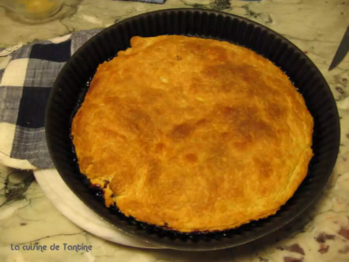 Tatin d'endives aux magret et au noix - photo 3