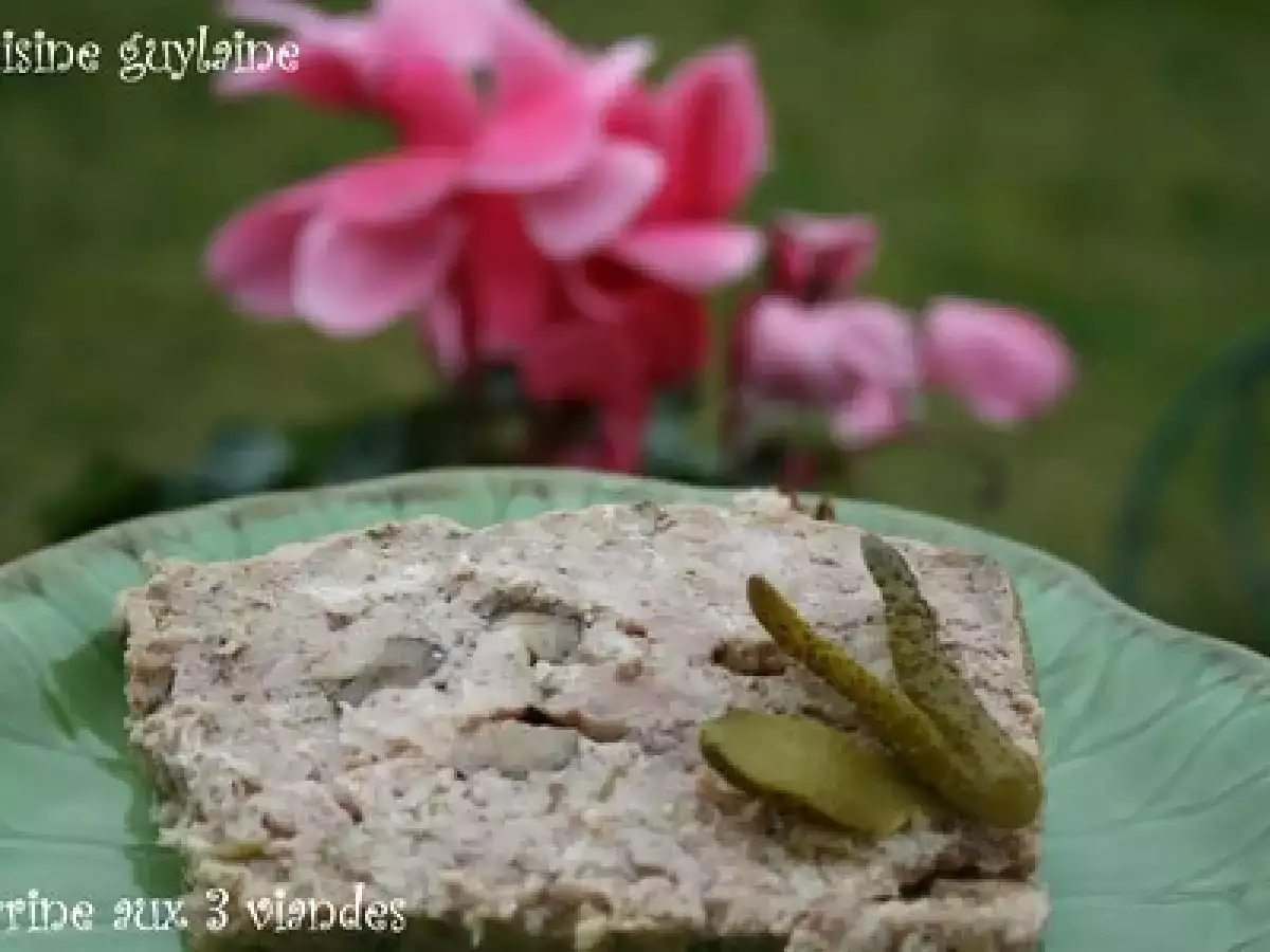^^Terrine aux 3 viandes^^ - photo 3