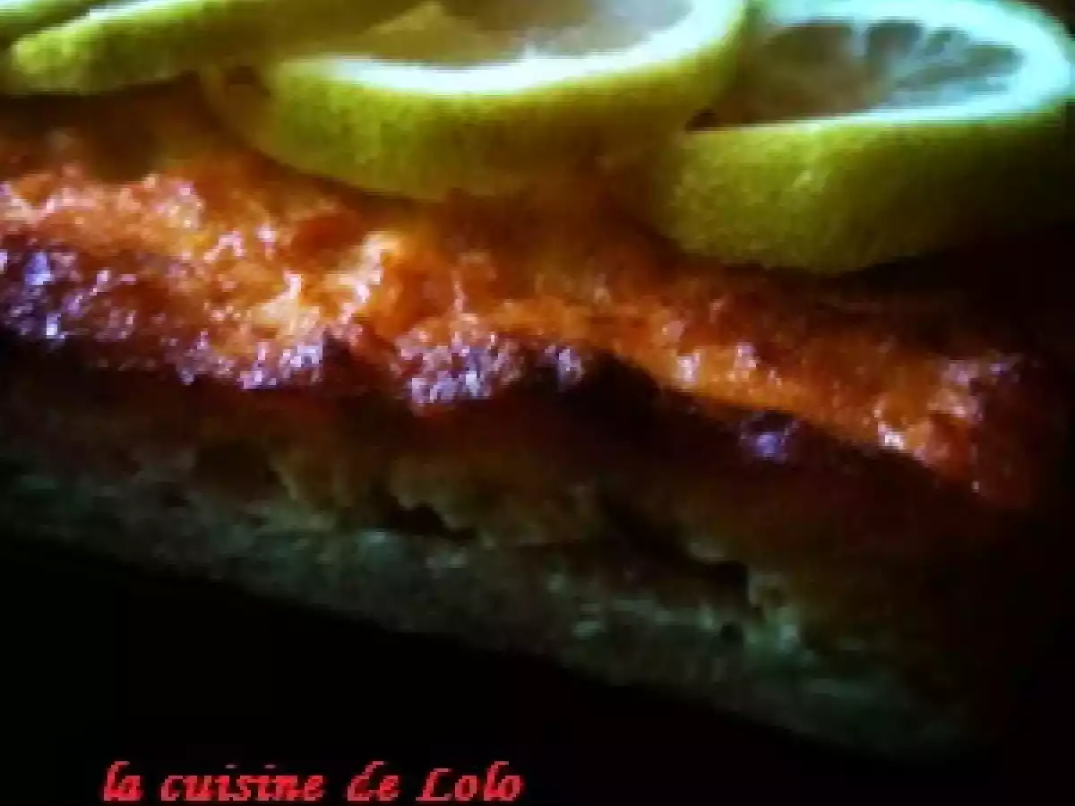 Terrine aux deux saumons - photo 2