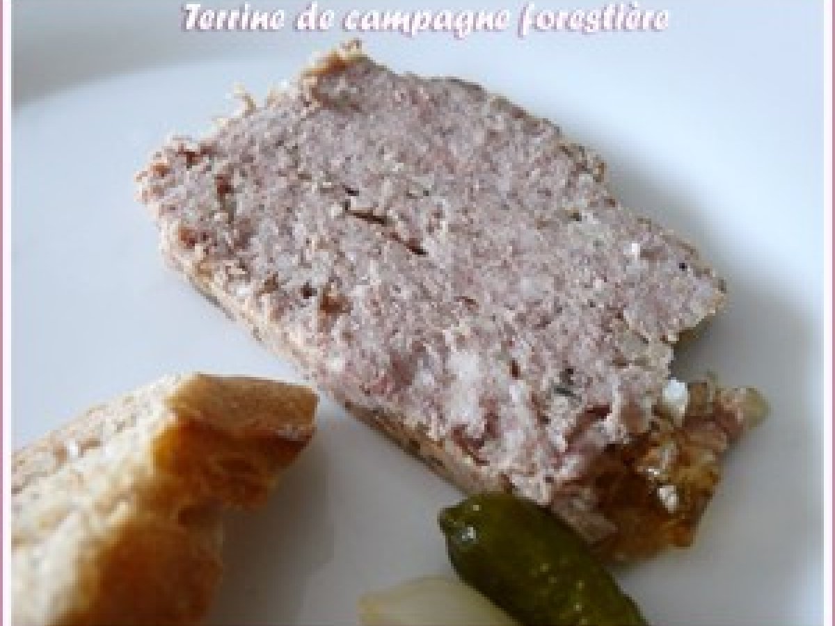 Terrine de campagne forestière Recette Ptitchef