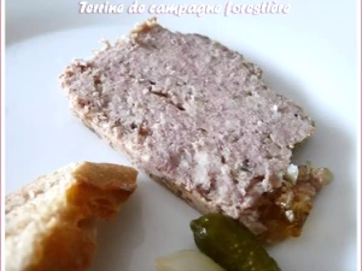 Terrine de campagne forestière