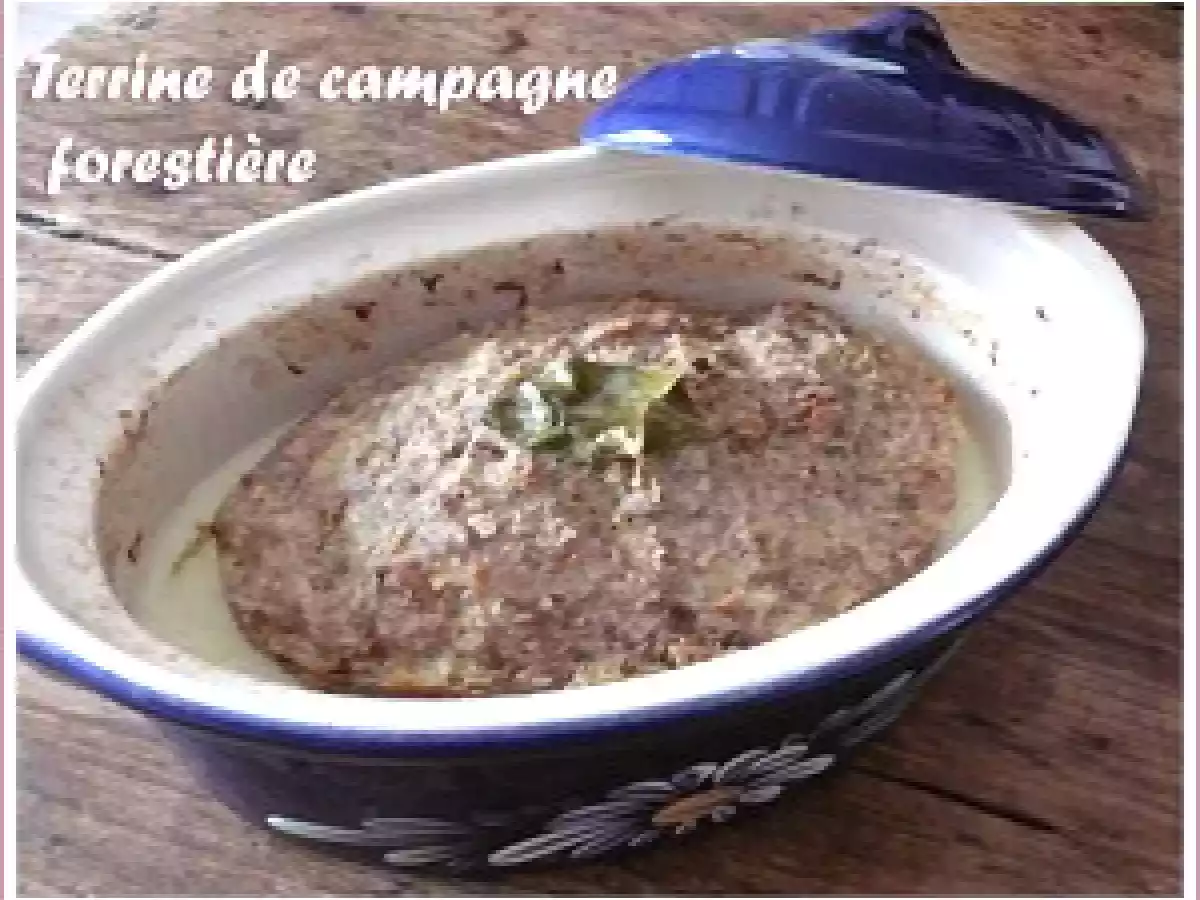Terrine de campagne forestière - photo 2