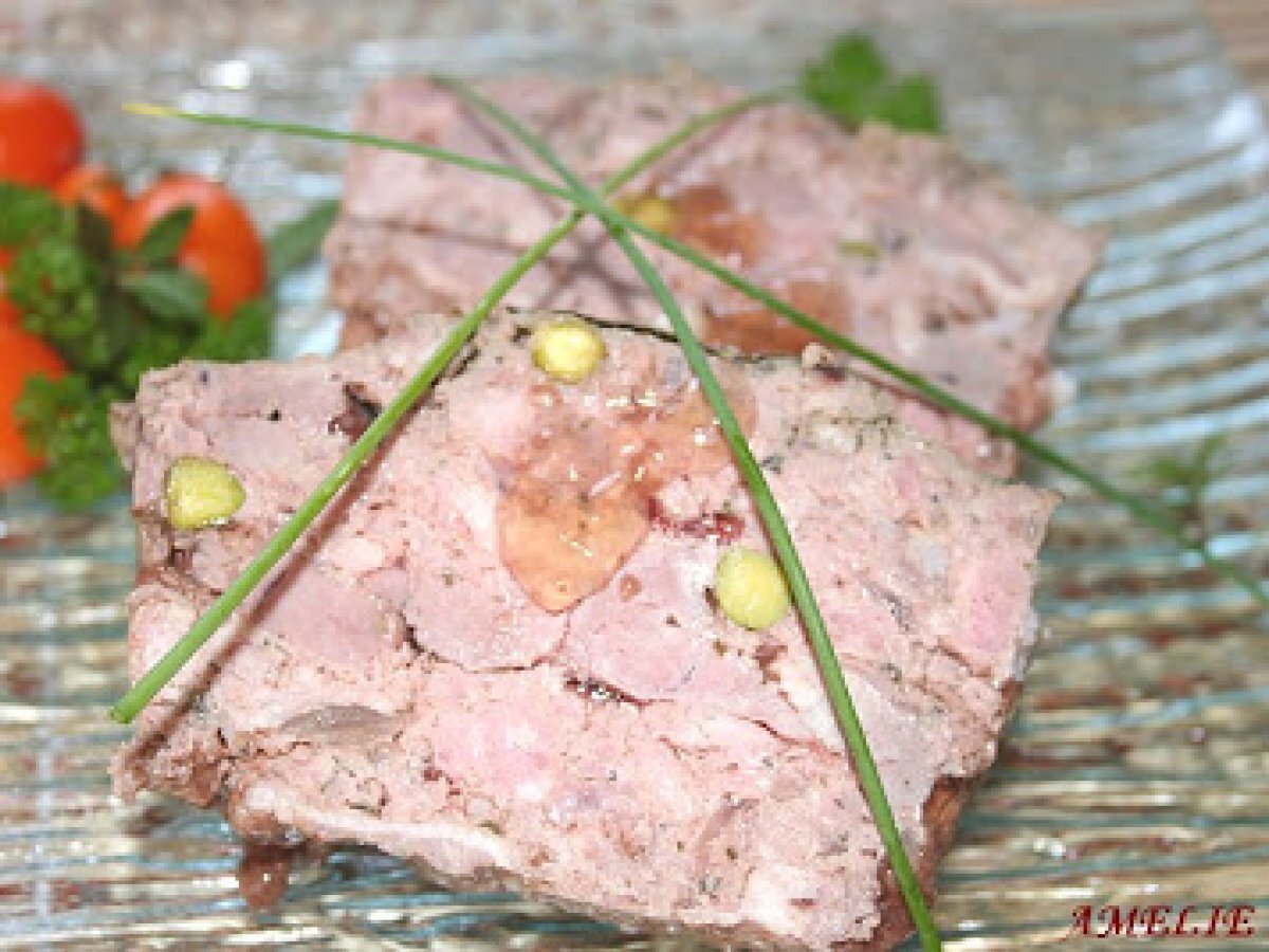 Terrine de canard aux pistaches Recette Ptitchef