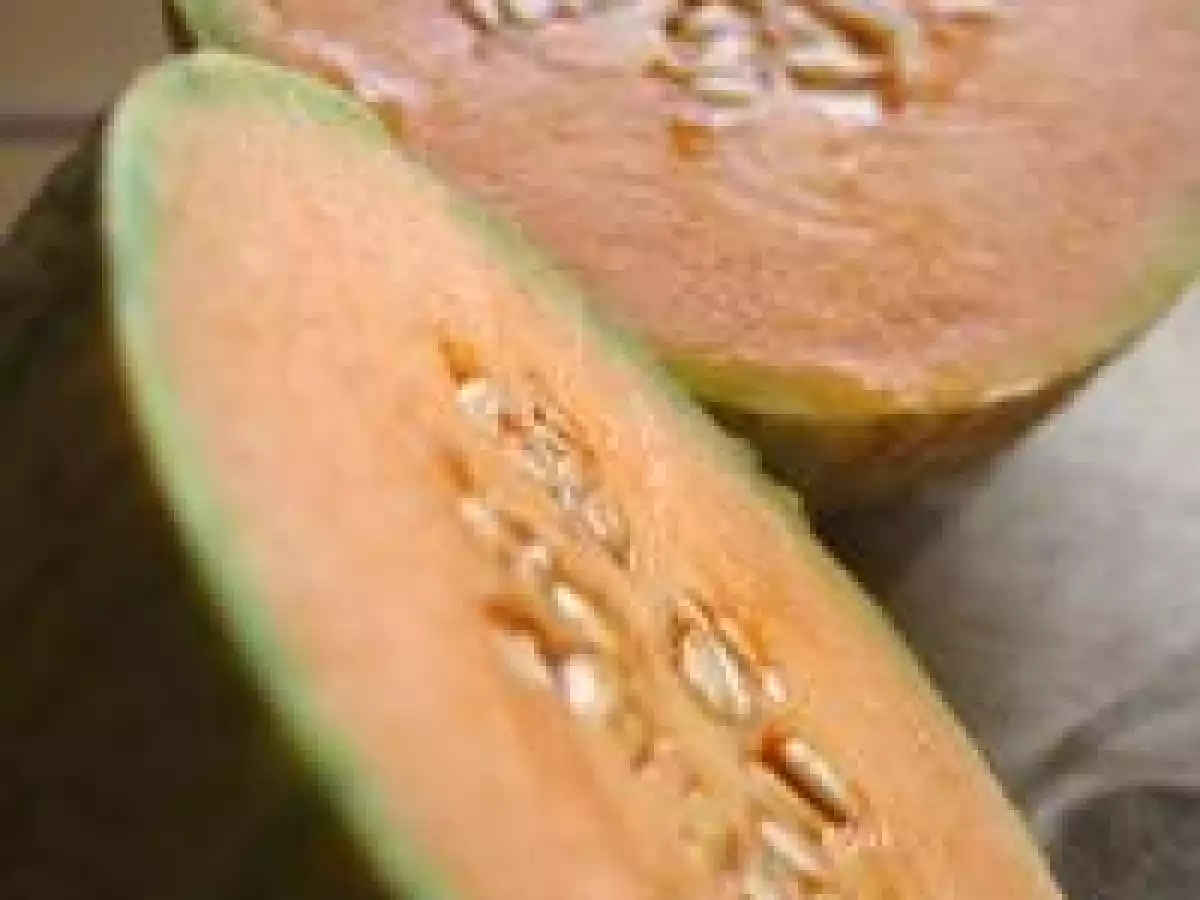 Terrine de Melon et Serrano en gelée de porto - photo 4