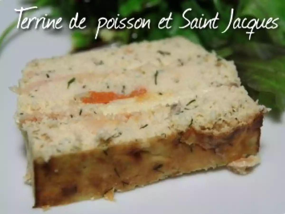 Terrine de poissons et Saint Jacques