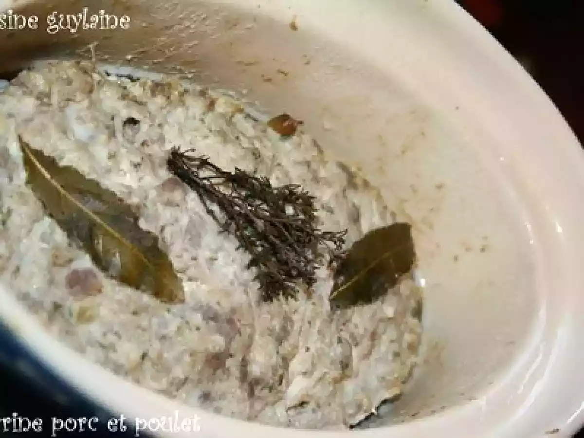 Terrine de porc et poulet aux pistaches - photo 4