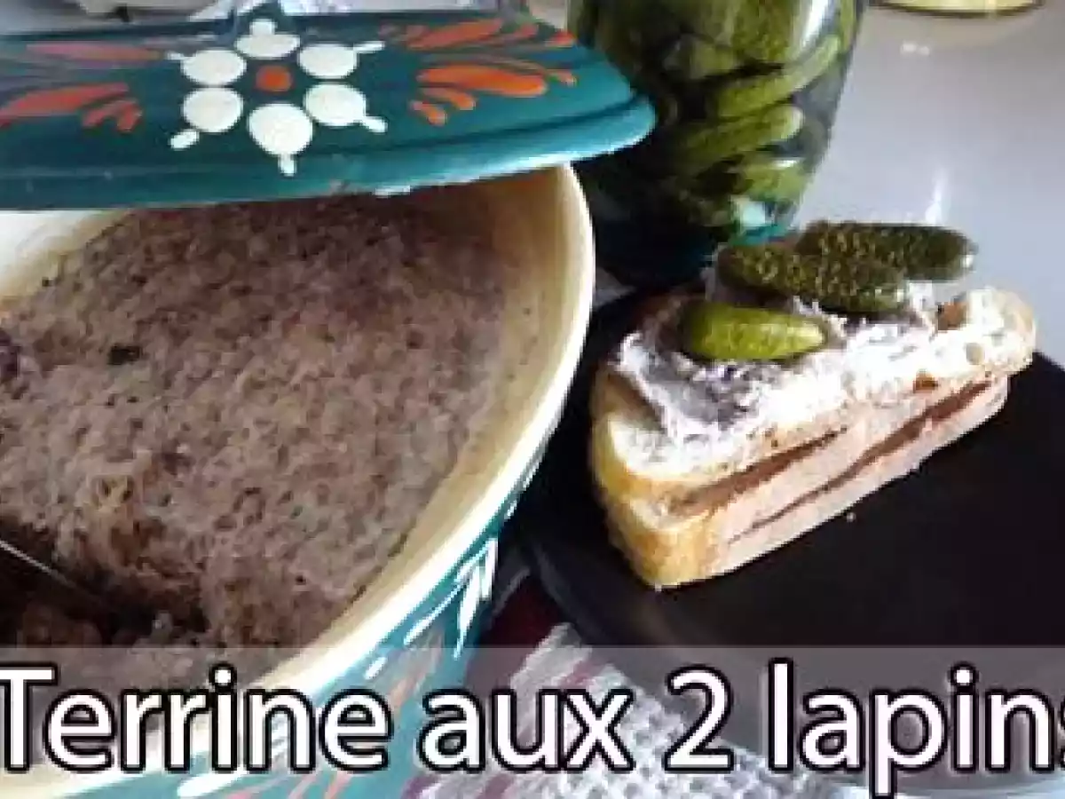 Terrine de rillettes aux 2 lapins