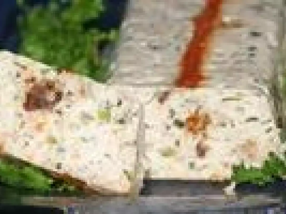 Terrine de saumon et petits légumes