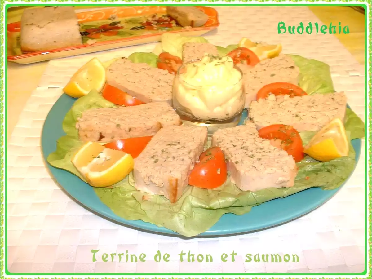 Terrine de thon et saumon