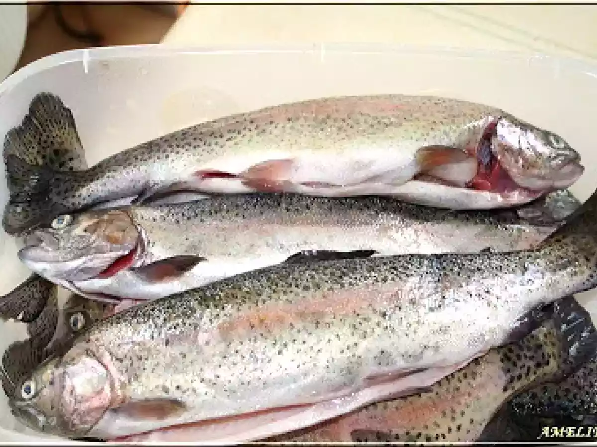 TERRINE DE TRUITE A LA RICOTTA ET JAMBON FUME - photo 3