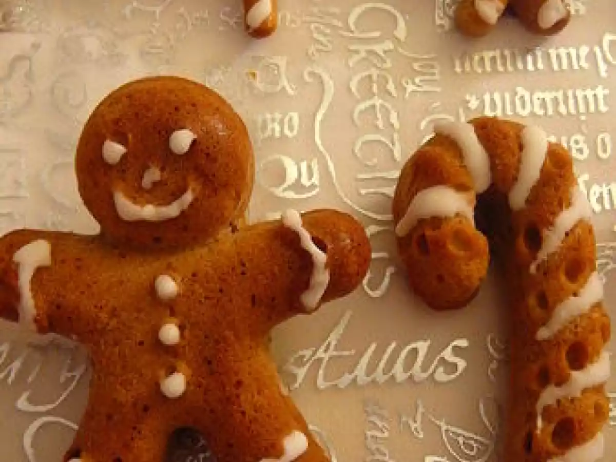 Ti' Biscuit le ptit bonhomme de pain d'épices - photo 2
