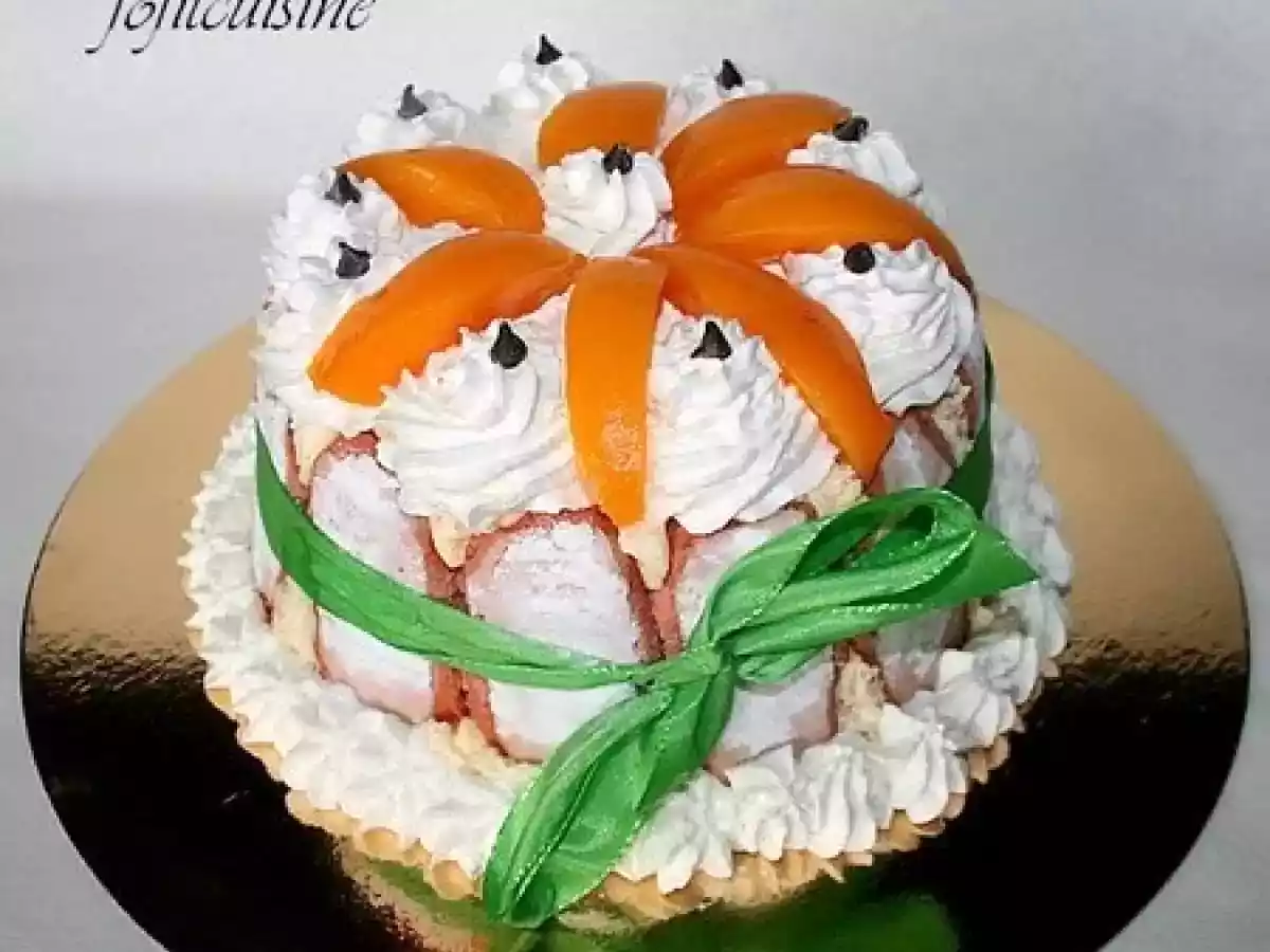 Tiramisu Aux Fruits En Charlotte - photo 6