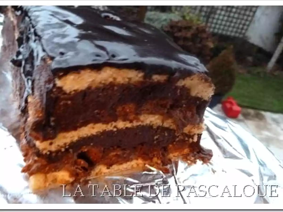 TIRAMISU de NOEL au CHOCOLAT et COULIS DE CARAMBAR