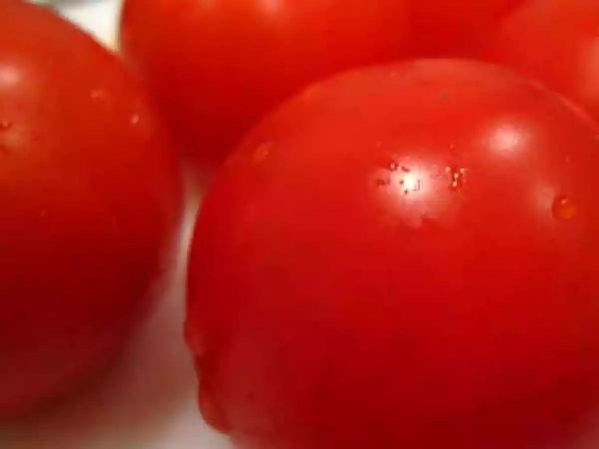 Tiramisu Tomate Mozzarella