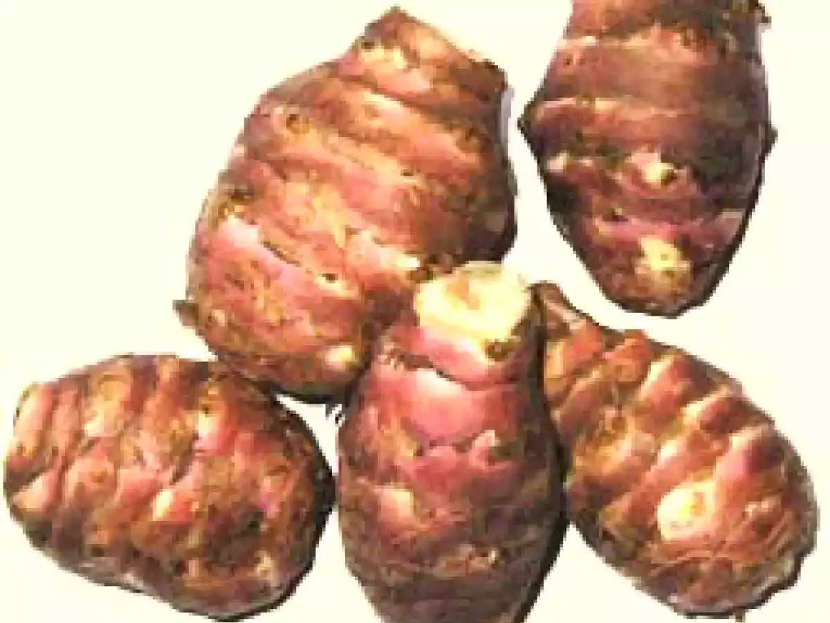 Topinambours !Tajine de Poulet et topinambour. - photo 2