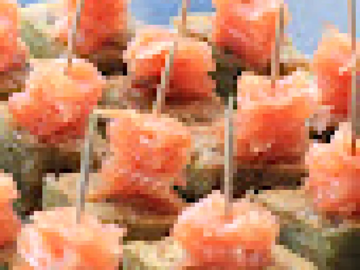 Tortilla de chips au saumon