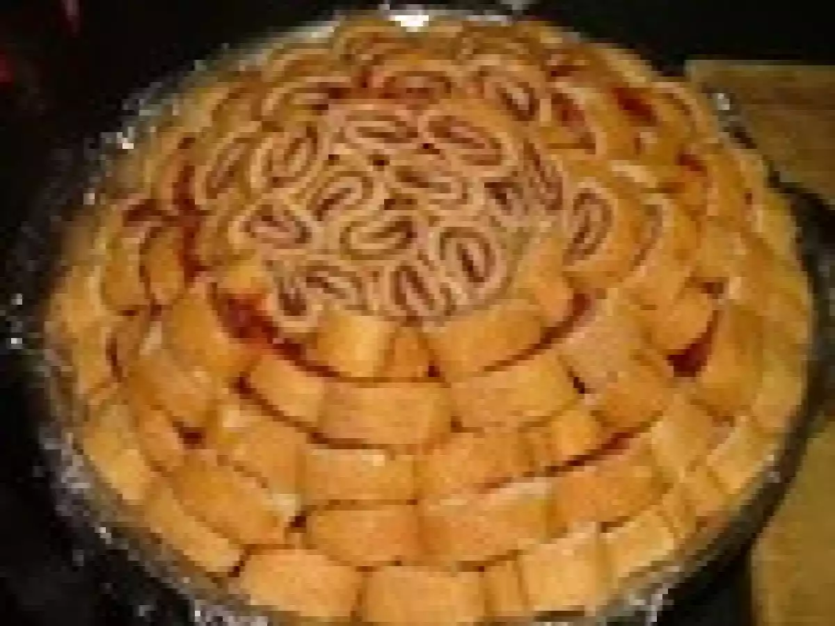 Tortue aux gateaux roulés - photo 3