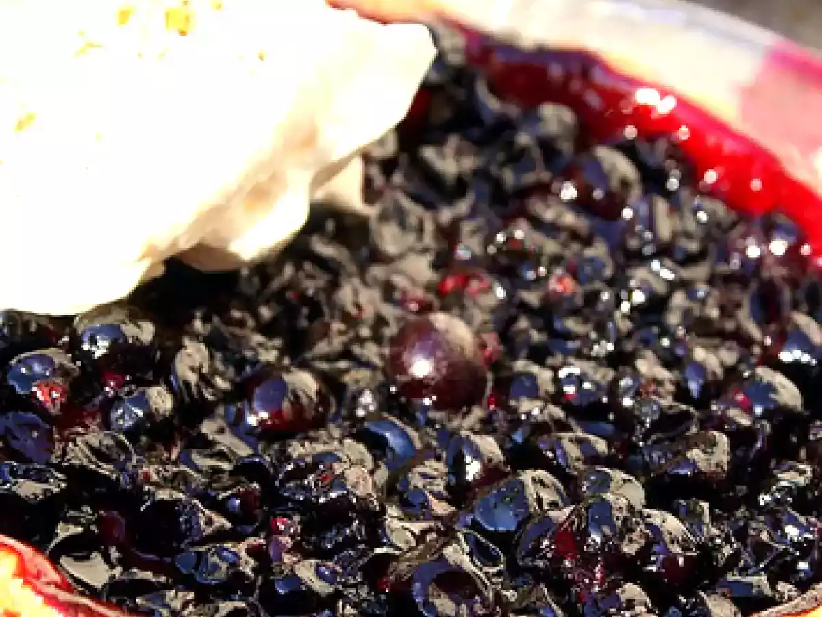 Tourte au Cassis Acidulé, Noisettes Craquantes, Crème Douceur - photo 6