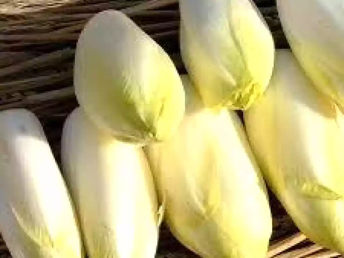 tourte de saumon aux endives