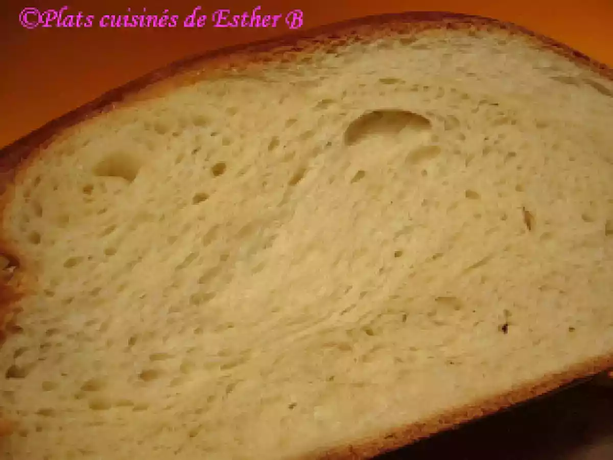 Tresse suisse (MAP) - photo 2