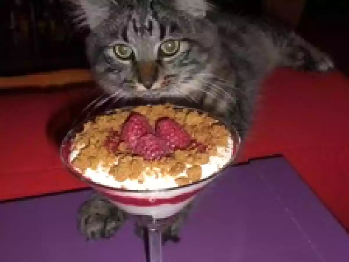 TRIFLE CROQUANT AUX FRAMBOISES - photo 3