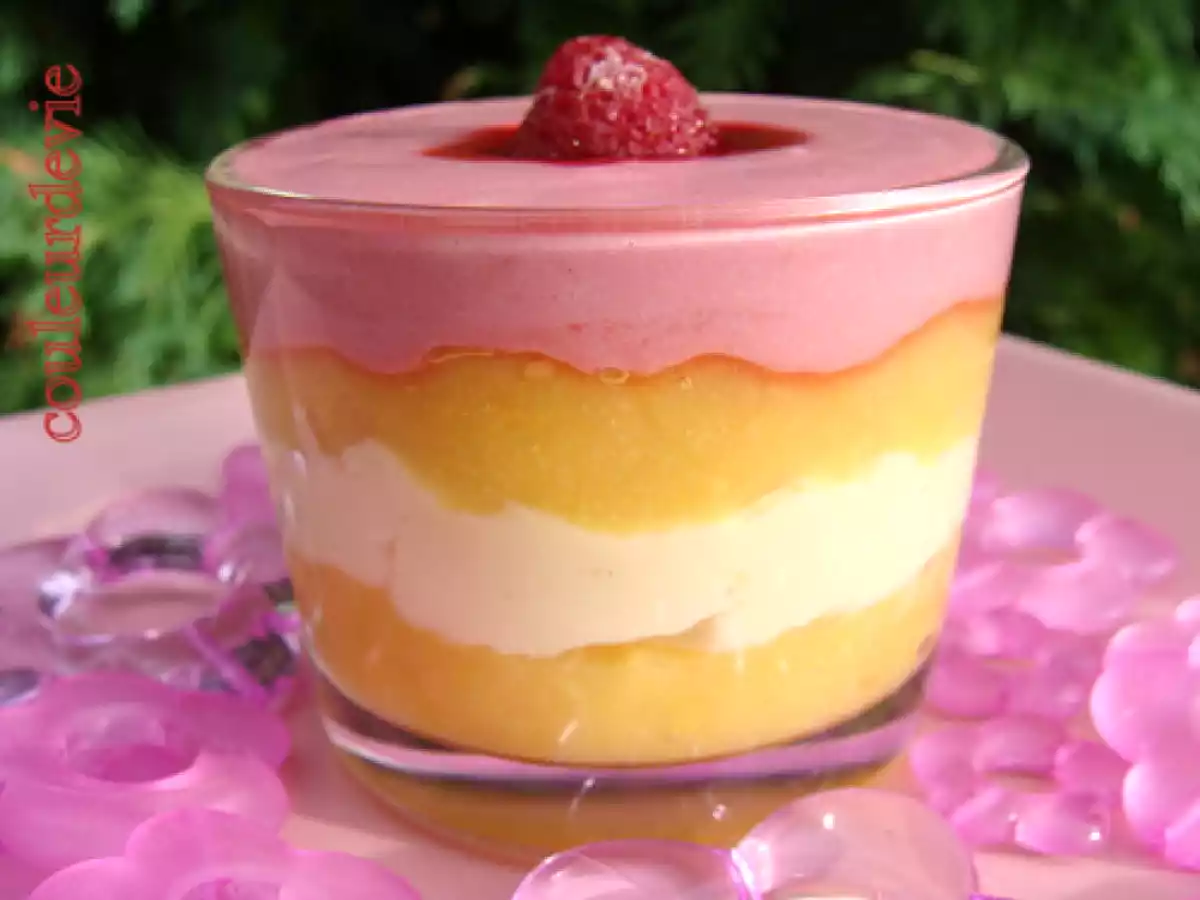 Trio mousse et compote aux coings - photo 2