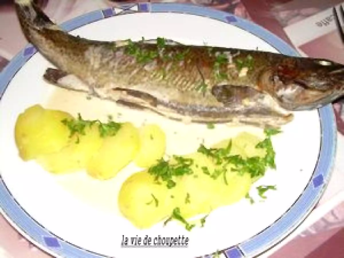 Truites au vin blanc au four