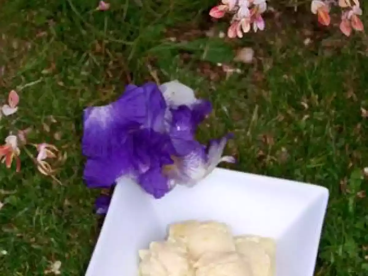 Un délicieux sorbet a la rhubarbe!!pour enfin peut-être faire revenir le soleil!! - photo 4