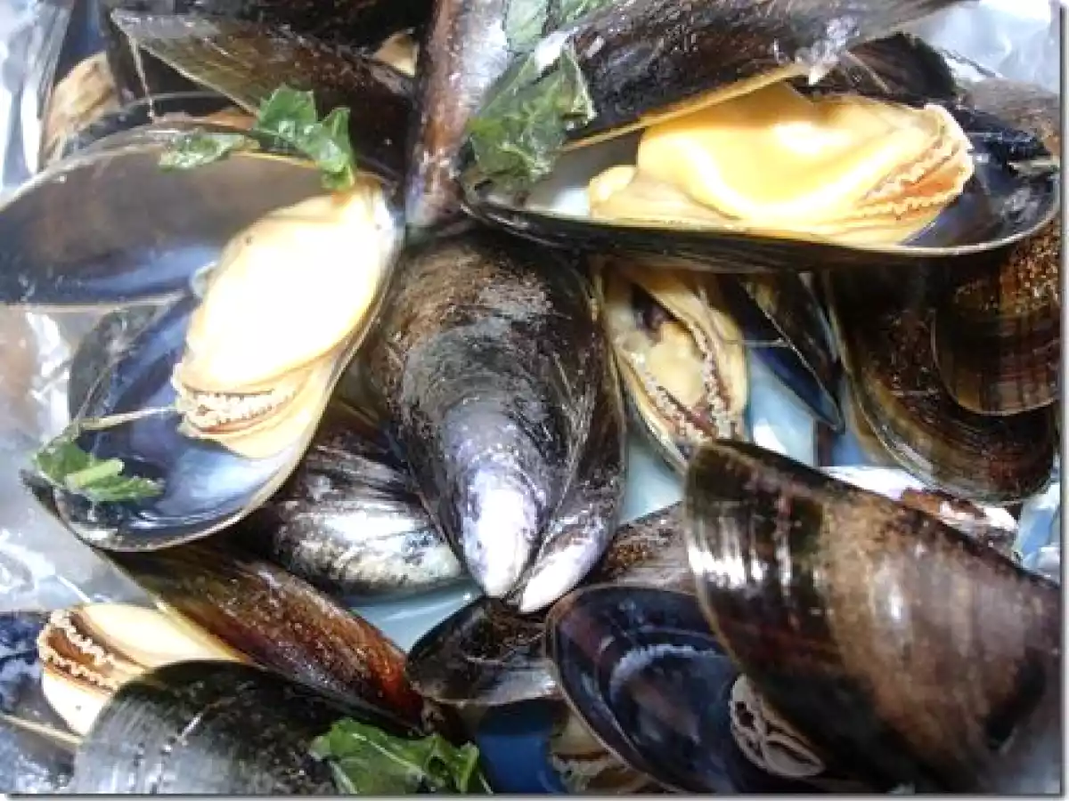 Un dimanche d’été : Moules au Basilic en Papillote au barbecue & TAG - photo 2