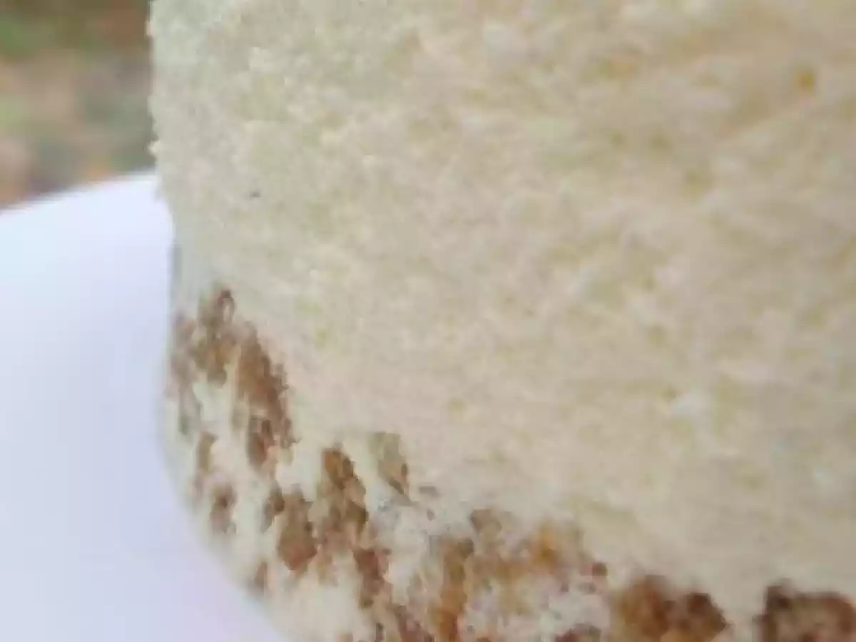 Un gâteau pour un long voyage: Bavarois Vanille et Biscuit au Café - photo 2