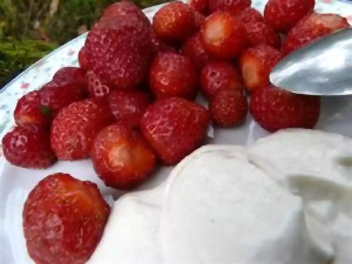 Un pur moment de gourmandise : Crème végétale épaisse