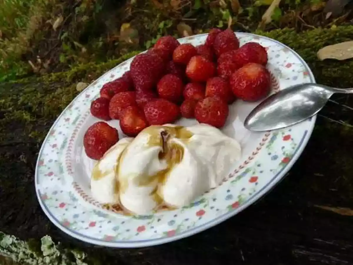 Un pur moment de gourmandise : Crème végétale épaisse - photo 2